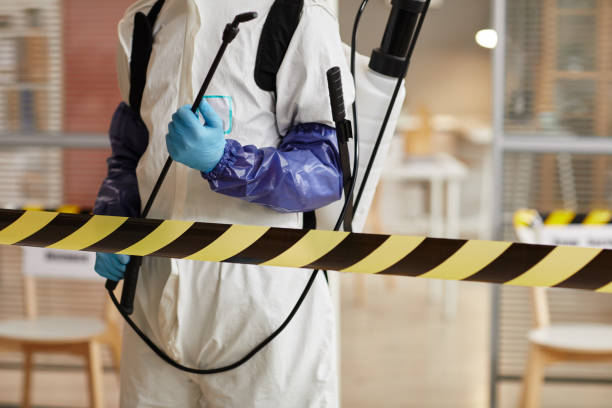 Professional Sewage Cleanup technician working in Waterbury, NE